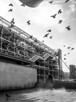 Jet d'oiseaux sur Beaubourg
